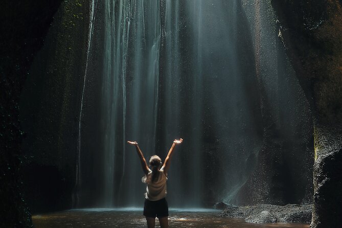 Ubud: Waterfalls, Water Temple & Rice Terraces Private Tour - Why a private car changes the day