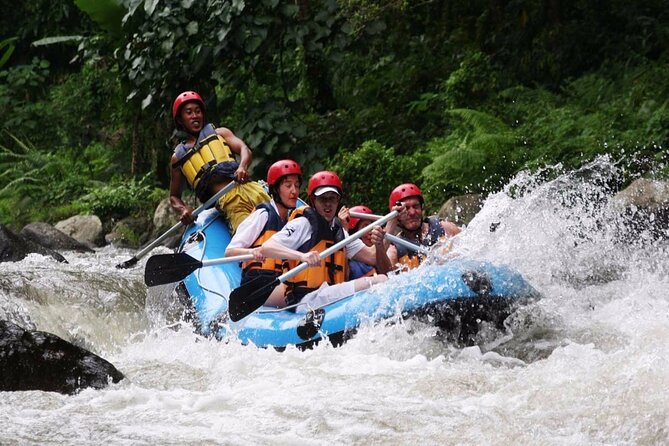 Ubud White Water Rafting with Waterfall and Lunch - Key points to know before booking