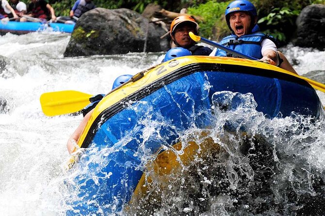 Ubud White Water Rafting with Waterfall and Lunch - Is $26.97 a good value?