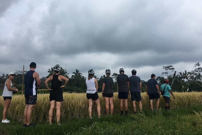 Ubud Wonderful Half Day Downhill Cycling Tour with Lunch - Local homes, a temple, and the human side of the route