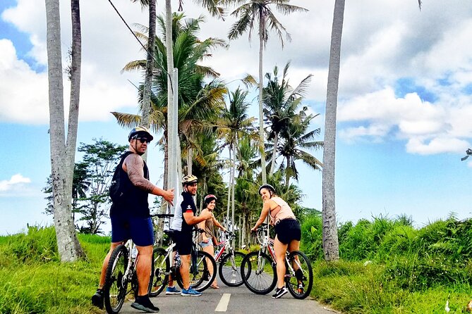 Ubud Wonderful Half Day Downhill Cycling Tour with Lunch - Pickup, timing, and group size