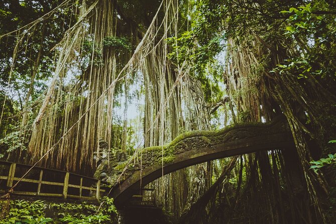Ultimate Ubud Experience All Inclusive Private Day Tour - Tegalalang Rice Terrace: Bali’s farming tradition in view