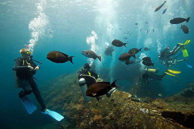 USS Liberty Shipwreck Scuba Diving at Tulamben Bali - Getting ready beside Tulamben Beach