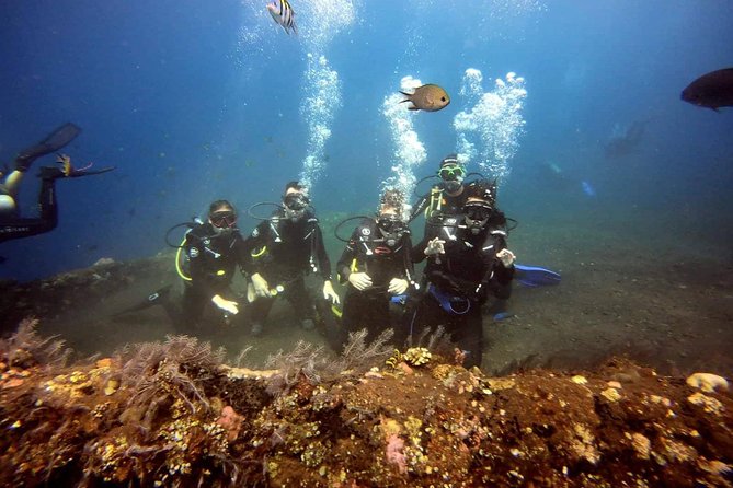USS Liberty Shipwreck Scuba Diving at Tulamben Bali - First underwater session: finding the wreck from shore