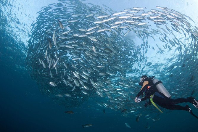 USS Liberty Shipwreck Scuba Diving at Tulamben Bali - Lunch, showers, and a useful surface break