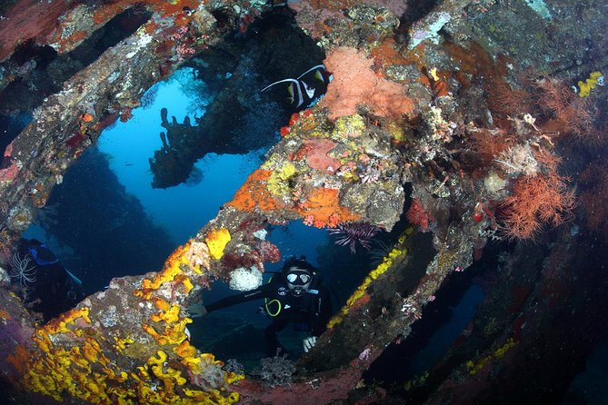 USS Liberty Shipwreck Scuba Diving at Tulamben Bali - Second underwater session: coral, swim-throughs, and small creatures