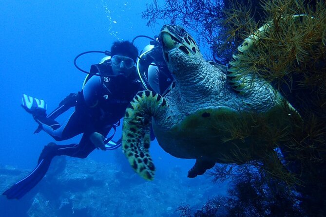 USS Liberty Shipwreck Scuba Diving at Tulamben Bali - The 8:00 am pickup and the long drive east