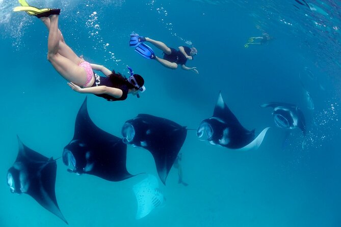VIP Private Boat to Nusa Penida: Snorkeling with Mantas + Land Tour Adventure - Crystal Bay offers the calmer afternoon contrast
