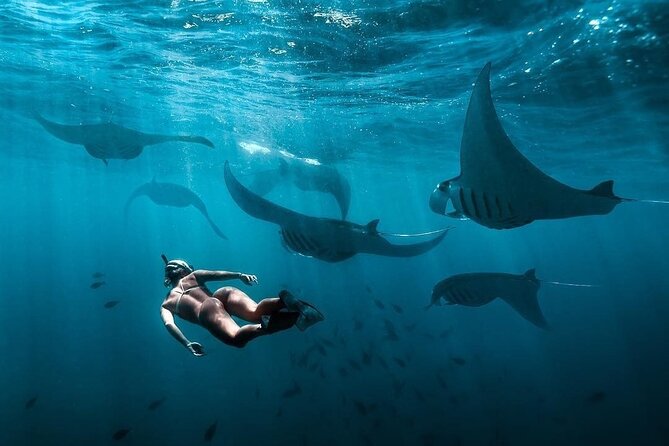 VIP Private Boat to Nusa Penida: Snorkeling with Mantas + Land Tour Adventure - Gamat Bay and Wall Bay Point may add more sea scenery