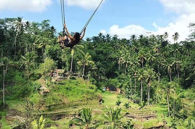Water Rafting adventure with Jungle Swing & rice terraces - Why this Bali day works so well