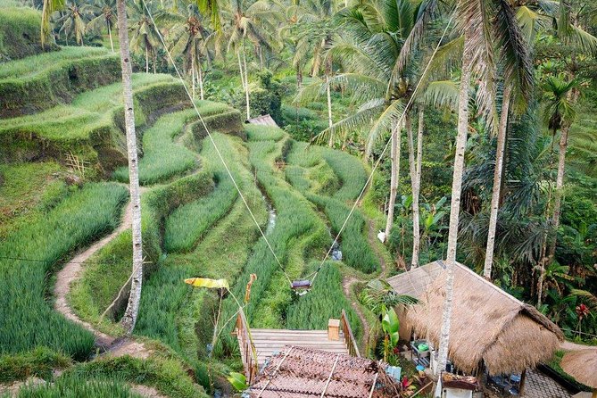 Water Rafting adventure with Jungle Swing & rice terraces - Two hours on the Ayung River