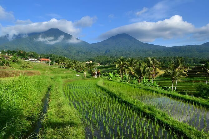 Waterfall Tour: North Bali Best Waterfalls - Is $79.99 Good Value?