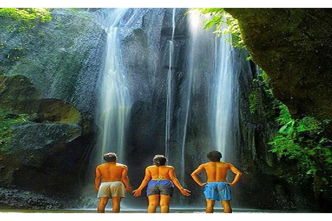 Waterfall Tour:Tegenungan-Kanto Lampo-Tukad Cepung and Tibumana- Free transport - What Your Private Car and Driver Add