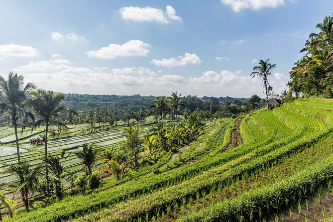 West Bali Tour: Taman Ayun, Ulun Danu Beratan, Jatiluwih Rice Terrace, Tanah Lot - Tanah Lot finishes with Bali’s famous sunset