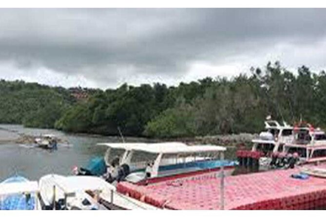 West Nusa Penida Full-Day Private Tour - Angel’s Billabong and the rocky southwest coast