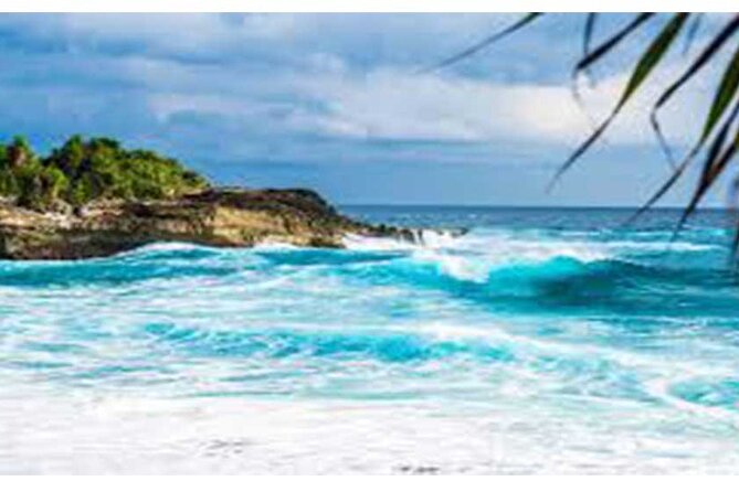 West Nusa Penida Full-Day Private Tour - Crystal Bay: sand, palms, and limited beach time