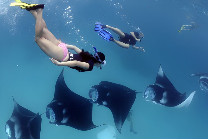 West Nusa Penida Island Snorkeling Tour - From Bali Island - Manta Bay: a chance to see large marine life
