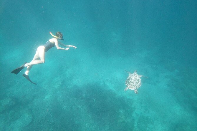 West Nusa Penida With Snorkeling Private Guided Tour - Three sea stops before Nusa Penida’s famous cliffs
