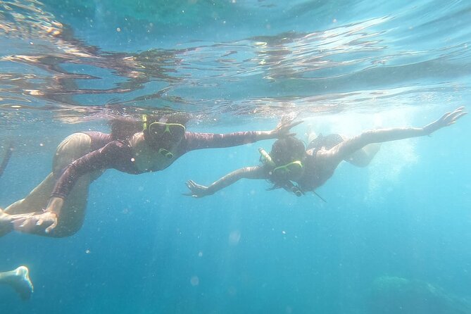 West Nusa Penida With Snorkeling Private Guided Tour - Crystal Bay and the chance to see turtles
