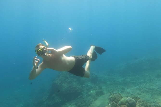 West Nusa Penida With Snorkeling Private Guided Tour - Kelingking Beach and the famous dinosaur-shaped view