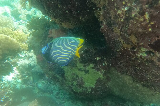 West Nusa Penida With Snorkeling Private Guided Tour - Angel’s Billabong, a natural pool with limits