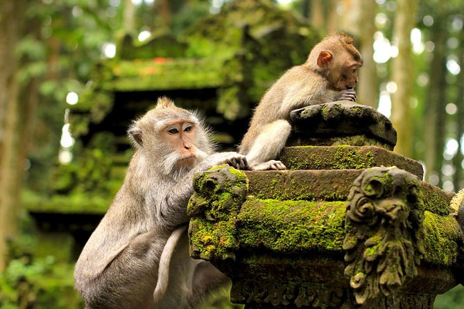 Wonderful Of Ubud Tours - Wood carving and batik: a short look at two local crafts