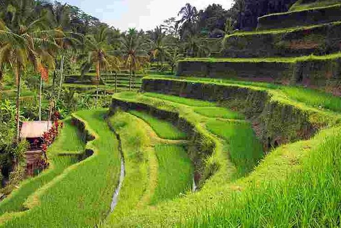 Wonderful Of Ubud Tours - Celuk Village: Bali’s silver-making center